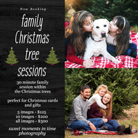 Tree Farm Family - ALL images